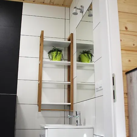 Luludomki 米耶伦科